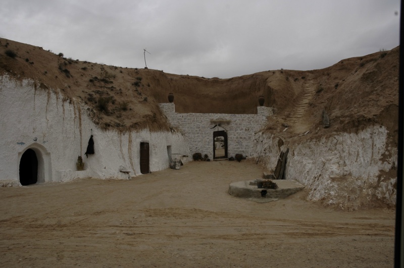  DSC0235